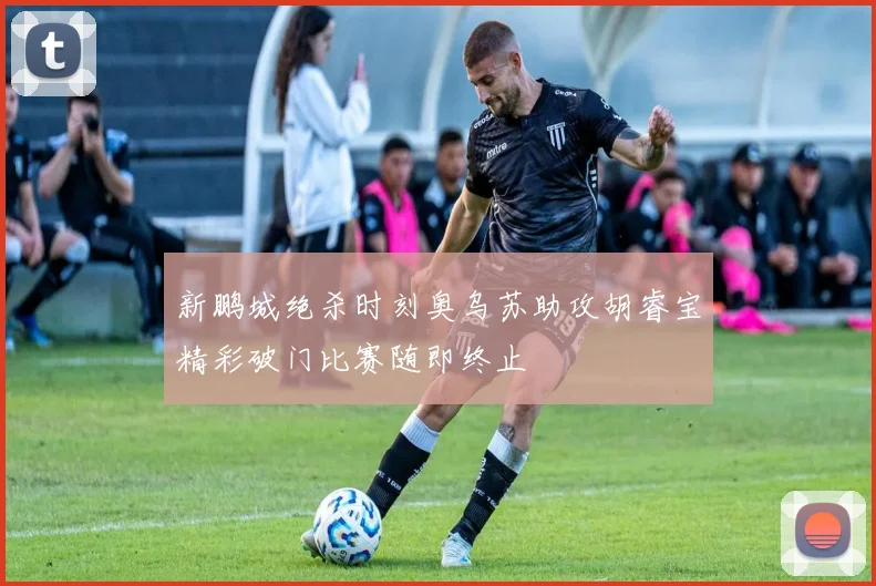 新鹏城绝杀时刻奥乌苏助攻胡睿宝精彩破门比赛随即终止
